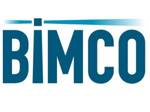 BIMCO assesses dry bulk outlook